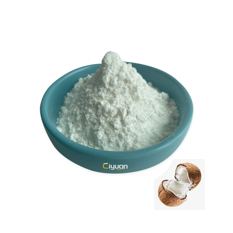 Wholesale Bulk Fruit Powder Coconut Fruit Powder Coconut Milk Powder