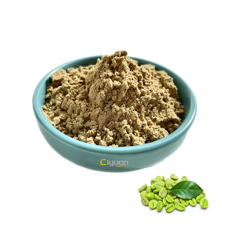 Ciyuan Factory Supplier Green Coffee Bean Extract Powder Chlorogenic acid 50%