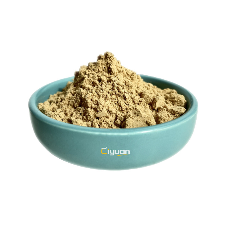 Ciyuan Factory Supplier Green Coffee Bean Extract Powder Chlorogenic acid 50%