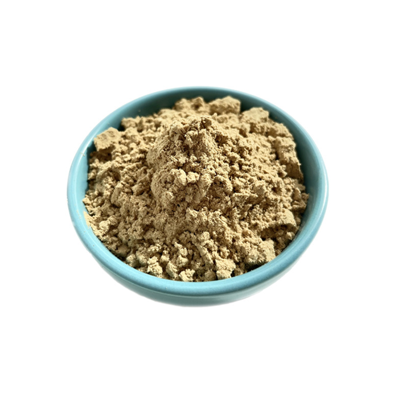 Ciyuan Factory Supplier Green Coffee Bean Extract Powder Chlorogenic acid 50%