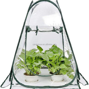 Ningyi Grow Low Tunnel Greenhouse Portable Cheap Mini Green House PVC Transparent Garden Flower Greenhouses