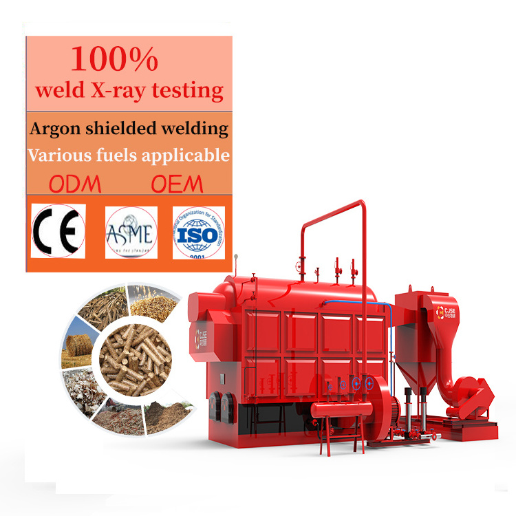 CJSE hot selling DZH coal fired steam boiler economizer biomass steam boiler for rice husk