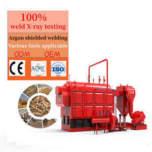 CJSE hot selling DZH coal fired steam boiler economizer biomass steam boiler for rice husk