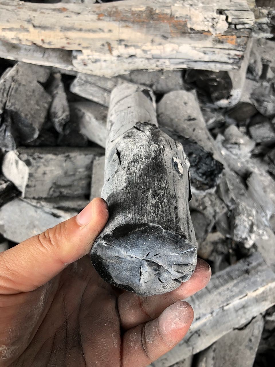 MAITIEW BINCHOTAN / MAITIEW WHITE CHARCOAL FROM LAOS FOR EXPORTING