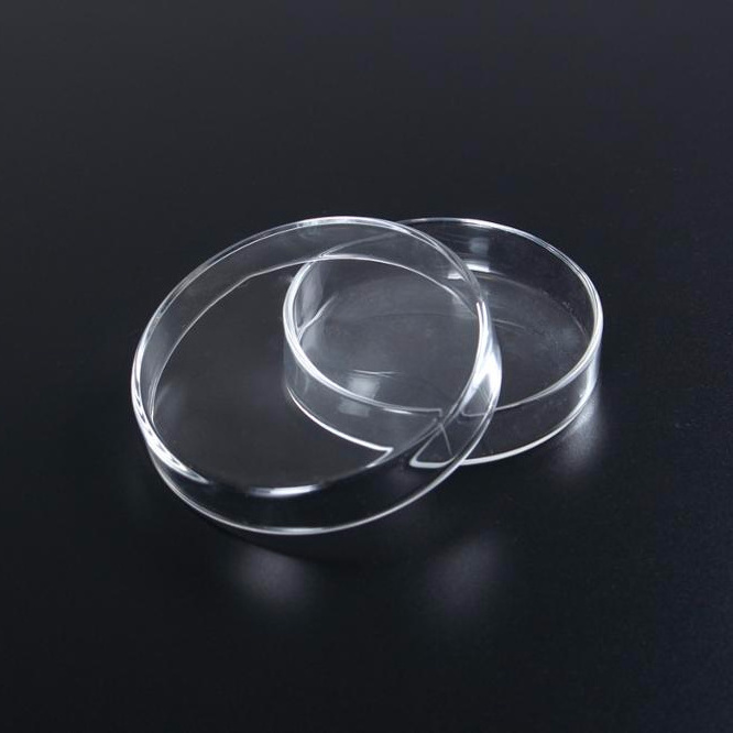 Medical Sterile Consumable Round Glass Petri Dish