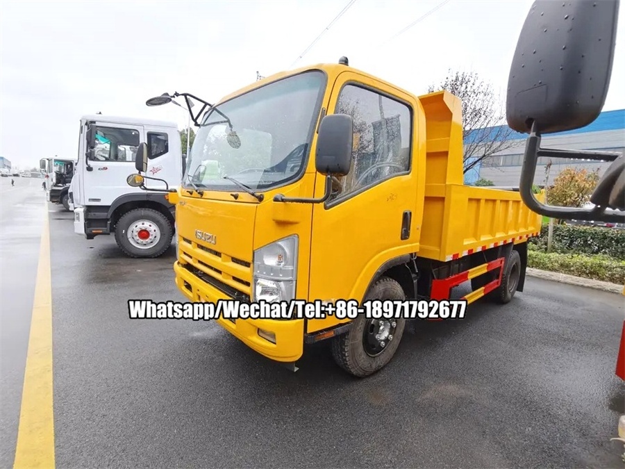 ISUZU 2 ton dump truck 4x2 mini dumper truck 6 wheel tipper for sale in South Arica