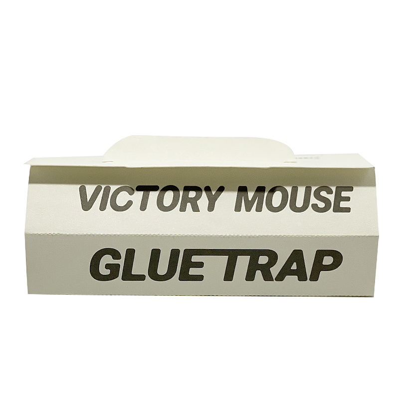 Customization Comprehensive Pest Sticky Boards Glue Traps Used for Mice Spiders Cockroaches Snakes Scorpions and Centipedes