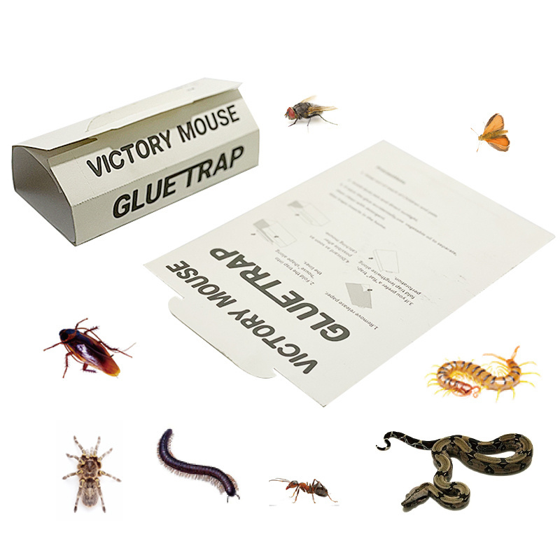 Customization Comprehensive Pest Sticky Boards Glue Traps Used for Mice Spiders Cockroaches Snakes Scorpions and Centipedes