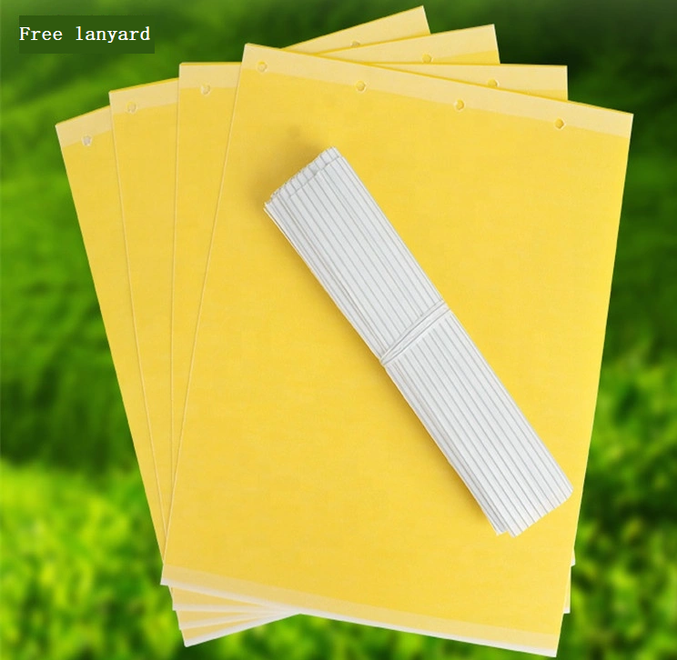 Hot sale Low Cost Fly Control Strong New Sticky Trap Fruit Fly Yellow Sticky Bug Traps