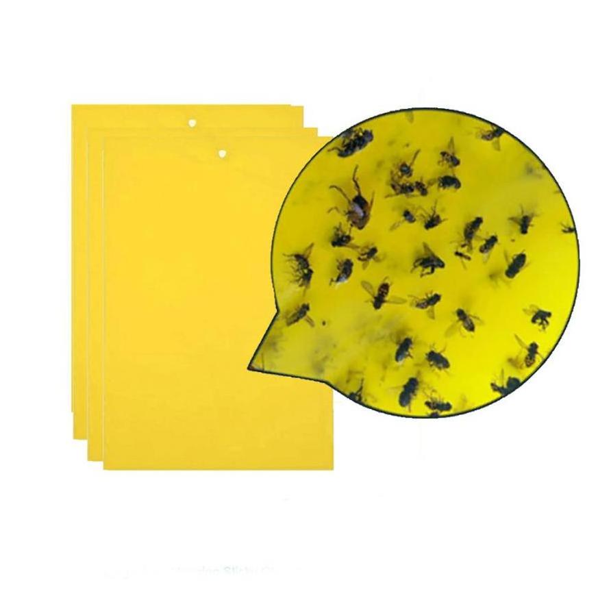 Hot sale Low Cost Fly Control Strong New Sticky Trap Fruit Fly Yellow Sticky Bug Traps