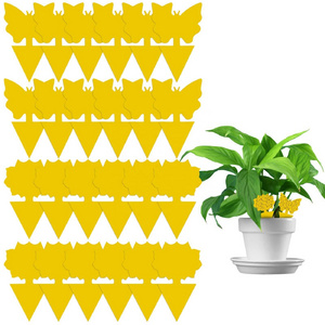 Wholesale Non-toxic and Tasteless 12 Pack Yellow Sticky Fruit Fly Trap for Indoor Protect Plants