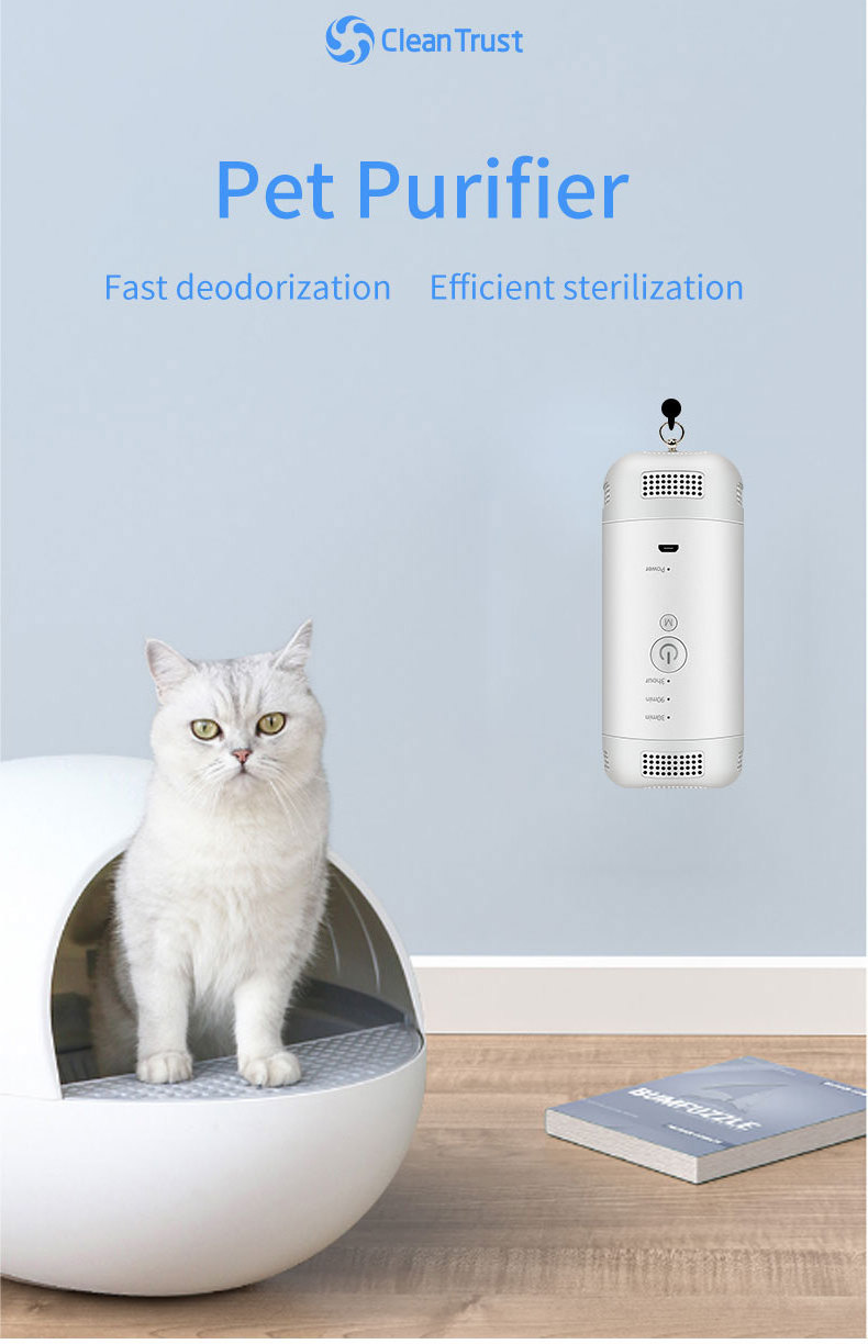 Home Customized Logo Portable Air Purifier Mini Ozone Disinfection Cabinet Wardrobe O3 Generator Air Purifier Ozonizer