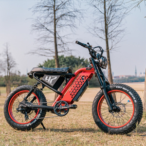 750W 1000W power 32MPH top speed 48V15AH long range 80KM 20 inch electric hybrid city dirt mountain fat tire bike ebike emtb