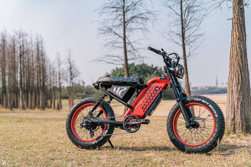 500w 750w max power 45km/h speed 48v13ah range 70km fat tire electric bike electric mountain bicycle electric motorcycle ebike