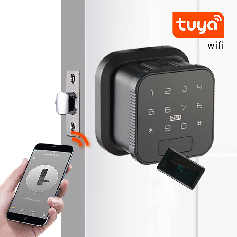 Tuya Fingerprint Password Card Smart Locks Apartment Home Smart Lock