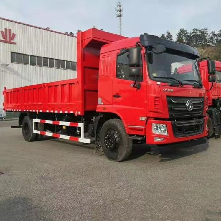 Small 4x2 bright red muck truck dumper lorry for sale