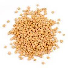 China spices&seasonings hot sale good quality natural special flavor mustard seeds