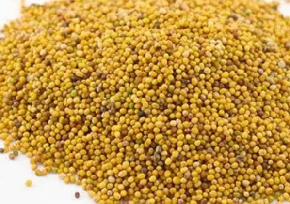 China spices&seasonings hot sale good quality natural special flavor mustard seeds