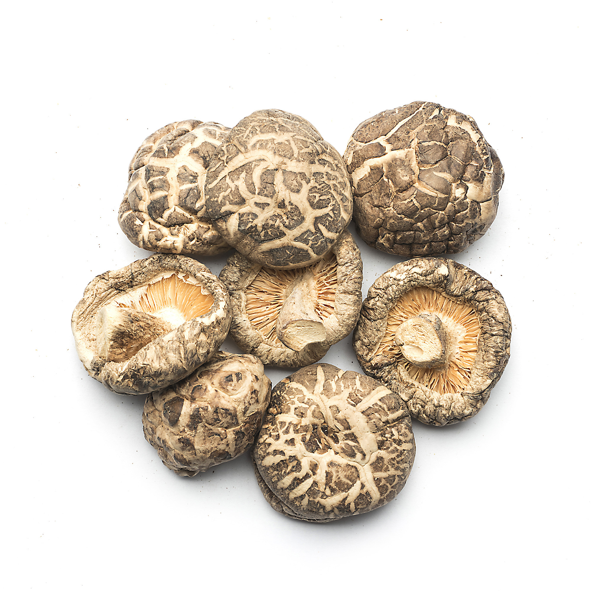 Hot Sales Air Dried Shiitake Mushroom Dehydrated Mushroom