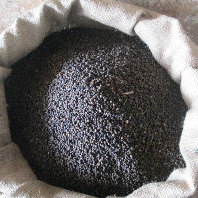 High Quality Black Pepper Dried Black Pepper 550gl from  China Factory