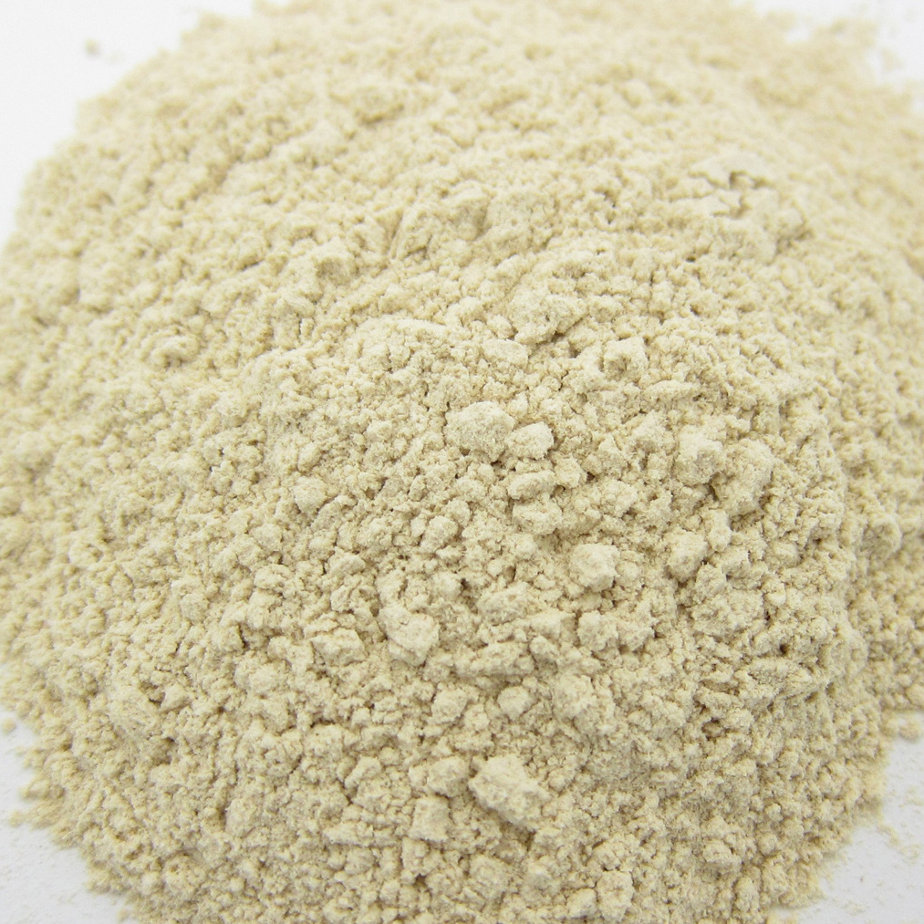 Hot Sale Air Dried Garlic Powder 80-100 Mesh Dried Garlic 25 kg