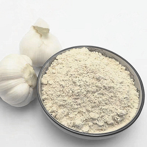 Hot Sale Air Dried Garlic Powder 80-100 Mesh Dried Garlic 25 kg