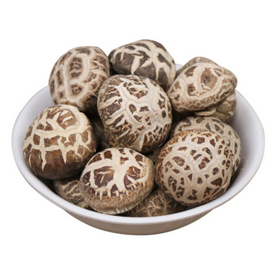 Hot Sales White Flower Shiitake Mushrooms Dehydrated Shiitake Mushroom