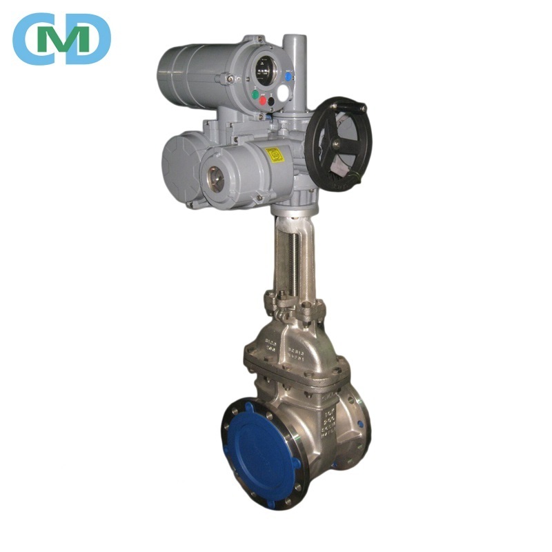 Longwan API 6D Standard 2 3 inch Flanged Carbon Steel WCB 300LB Gate Valve with Drawing