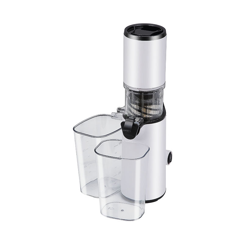 Portable Mini Professional Masticating Nutrition Fruit & Vegetables Cold Press Slow Juicer with Quiet Motor