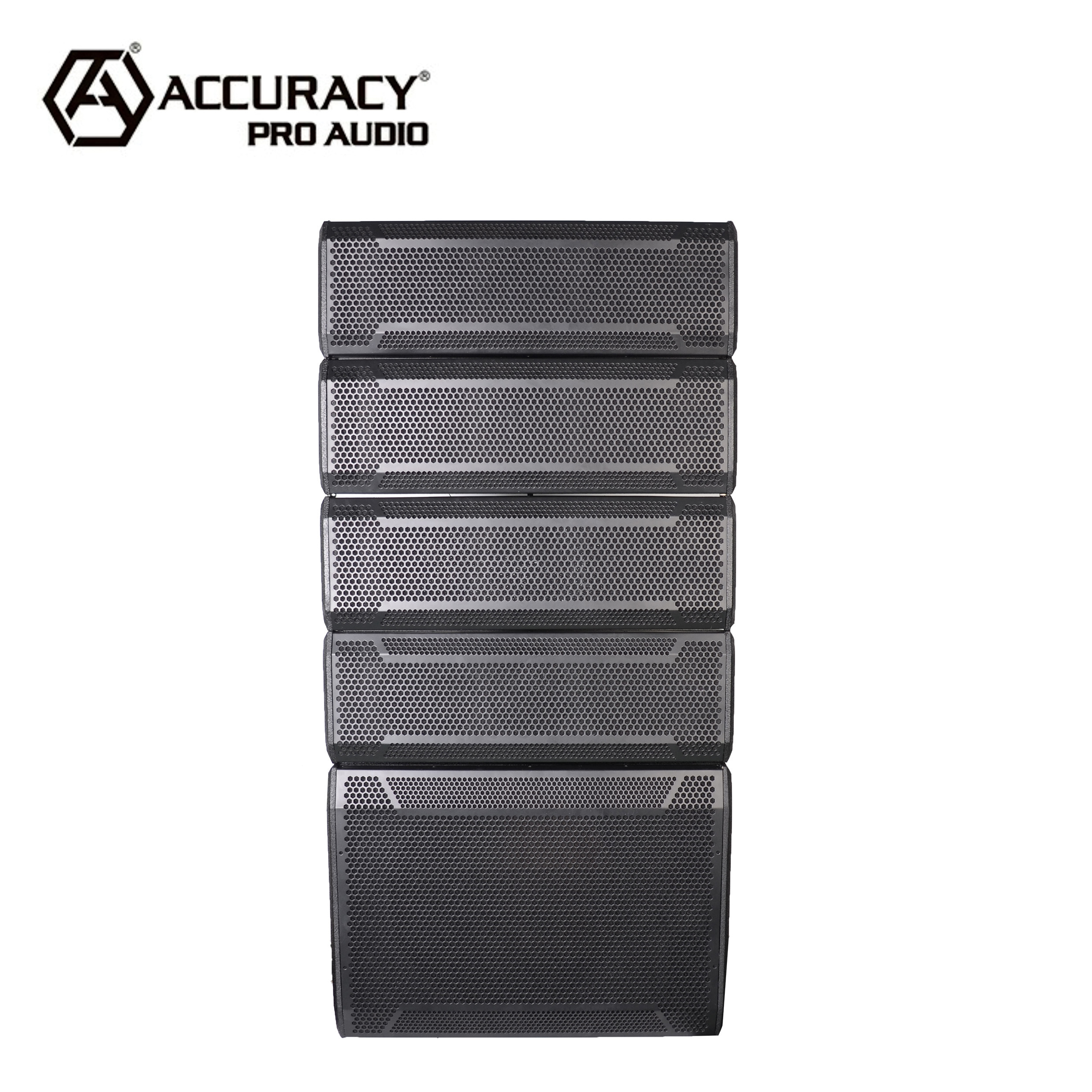 Accuracy Pro Audio LA412D-KIT Array Speakers System 1000W Professional Passive Line Array Speakers Audio PA Sound System