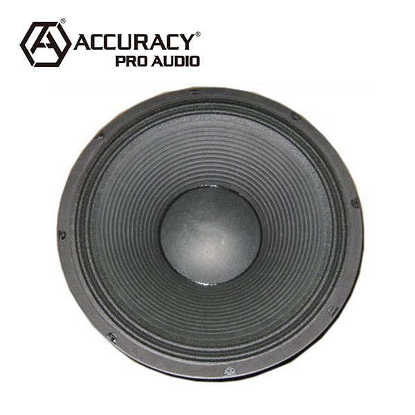 Accuracy Pro Audio CY08121-100 Neodymium Speaker Subwoofer 12 Inch Woofer