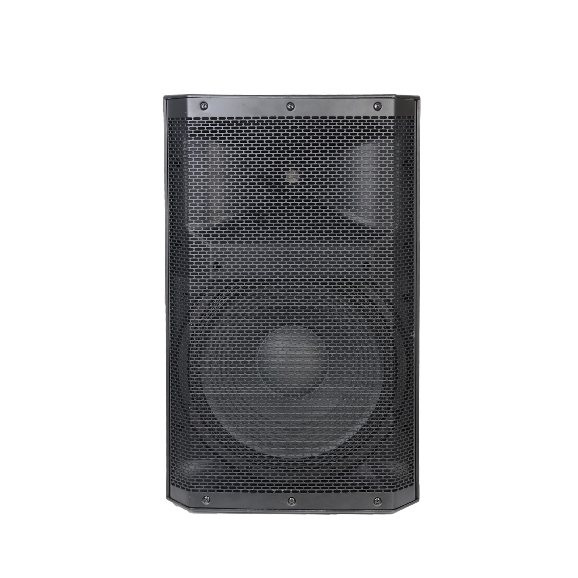 Accuracy Pro Audio CAC15AHH-220W Professional Audio AHH Amplifier Plastic Powered Plastic Speaker Sound System 15