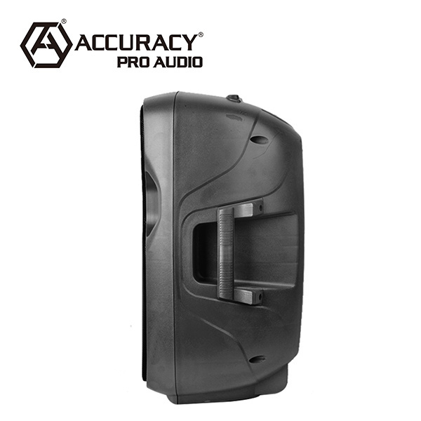 Accuracy Pro Audio CMB15AQMXF-SP-BT Outdoor Dj Ibastek Speaker FM Radio