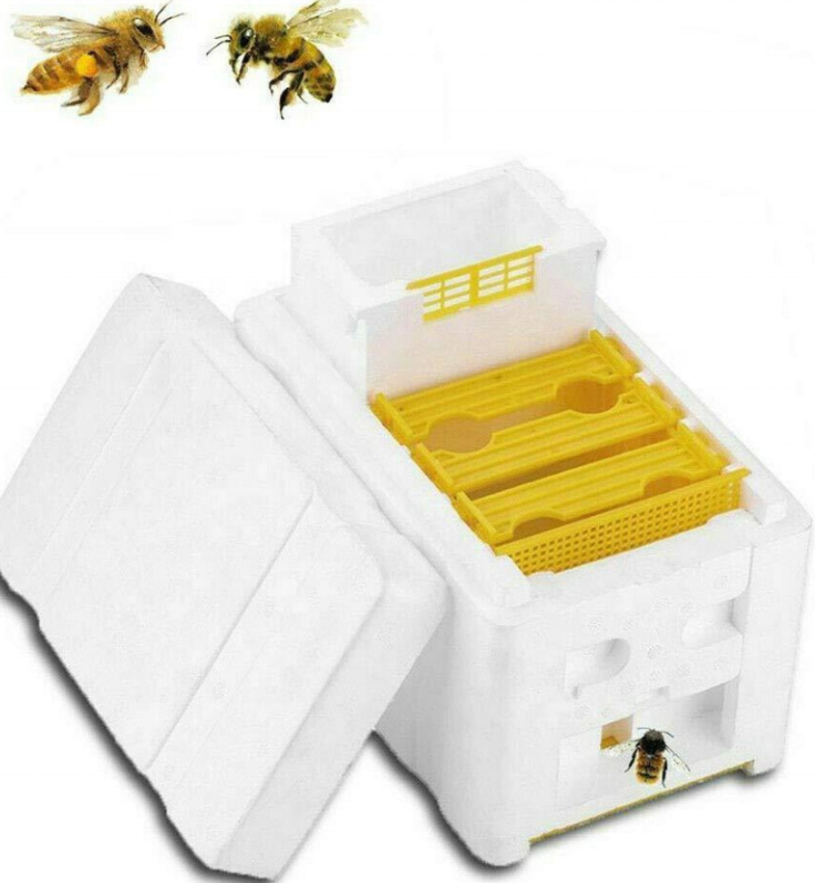 Best Quality Beekeeping Equipment Material EPS Mini Mating Nuc Box Bee Hive Box