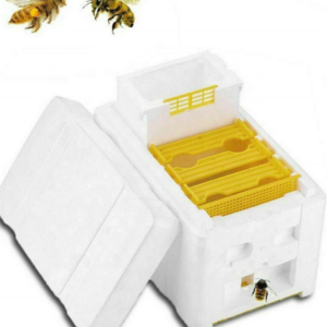 Best Quality Beekeeping Equipment Material EPS Mini Mating Nuc Box Bee Hive Box