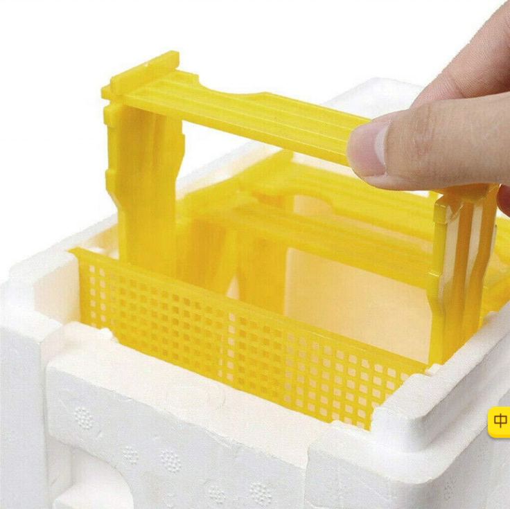 Best Quality Beekeeping Equipment Material EPS Mini Mating Nuc Box Bee Hive Box