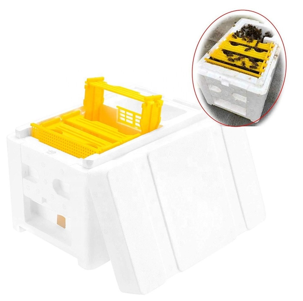 Best Quality Beekeeping Equipment Material EPS Mini Mating Nuc Box Bee Hive Box