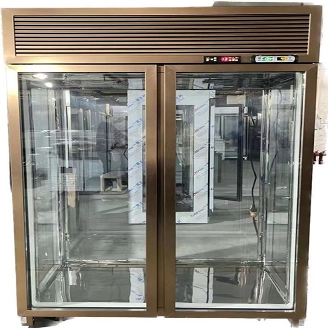 1 door Drying againg fridge freezer beef dry ager meat hanging dry aging catering refrigerator