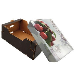 custom full color printing cherry mango apple tomato vegetable  shipping corrugated fruit packaging boxes