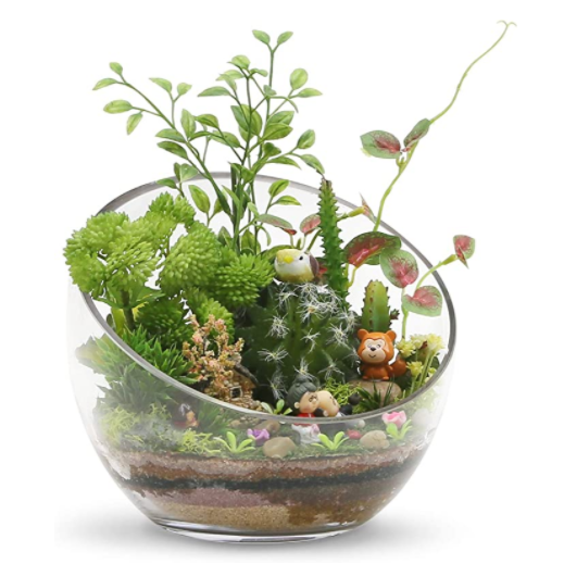 Slant Cut Bowl Glass vase clear thicken glass plants Terrarium Candy Dish Fruit Jar Floral Container for home wedding wholesale