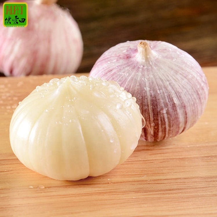 Yunnan garlic fresh solo garlic high quality new crop for wholesale single clove garlic supplier