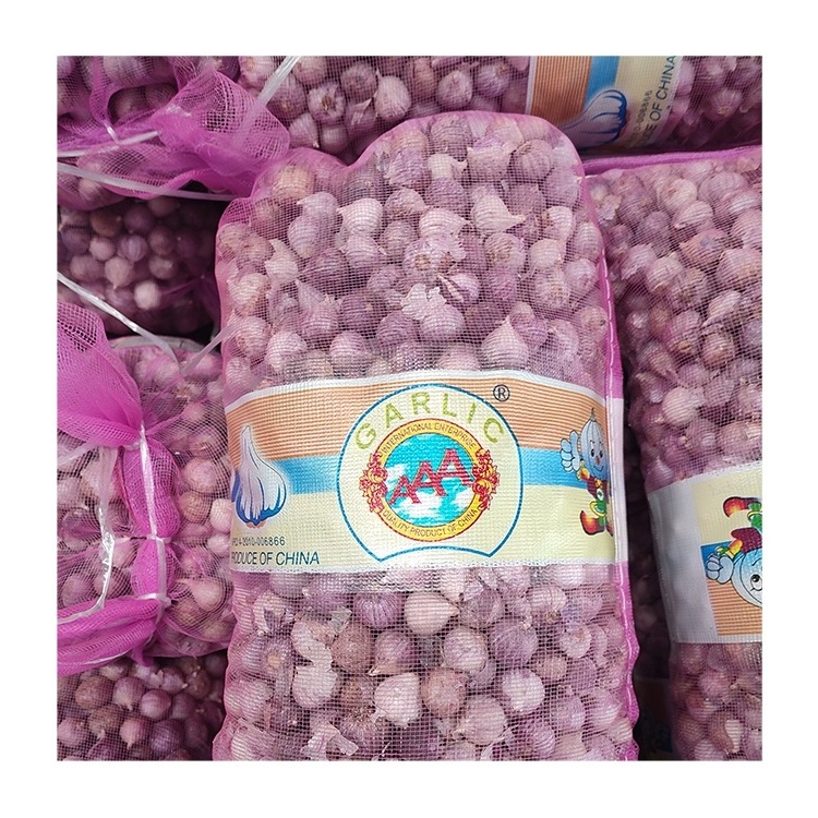 Yunnan garlic fresh solo garlic high quality new crop for wholesale single clove garlic supplier