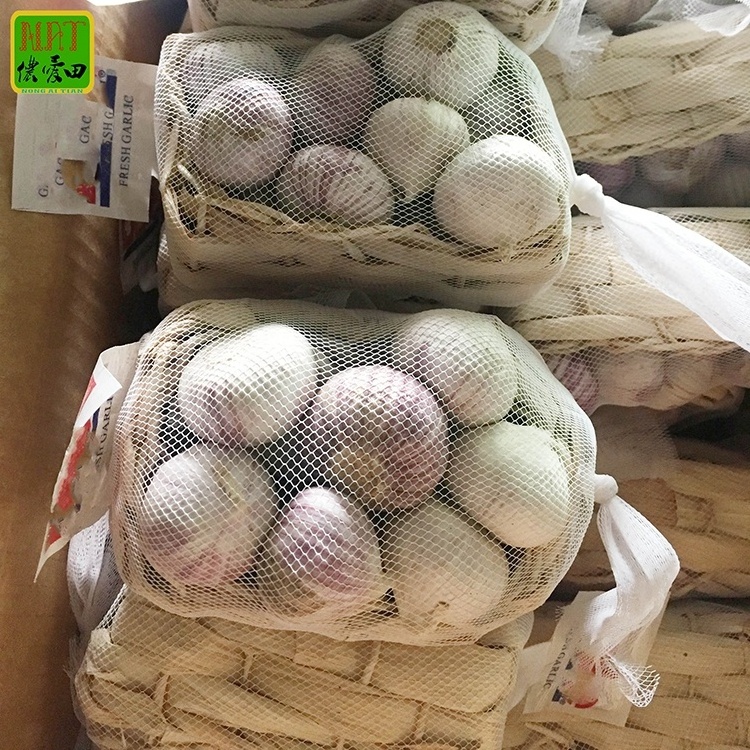 Fresh solo garlic in bulk/mesh bag/carton high quality professional export single garlic supplier factory price garlic