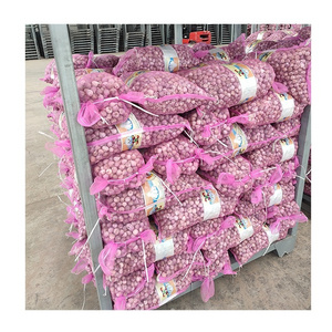 Yunnan garlic fresh solo garlic high quality new crop for wholesale single clove garlic supplier