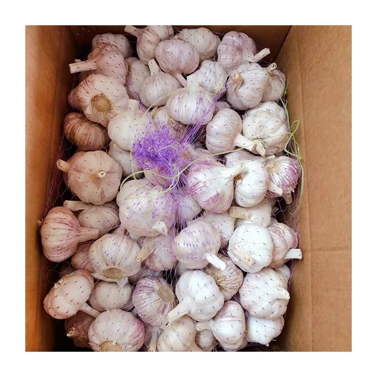 Ajo caj de 10 kg fresh normal white garlic 10kg box carton top grade wholesale Chinese white garlic