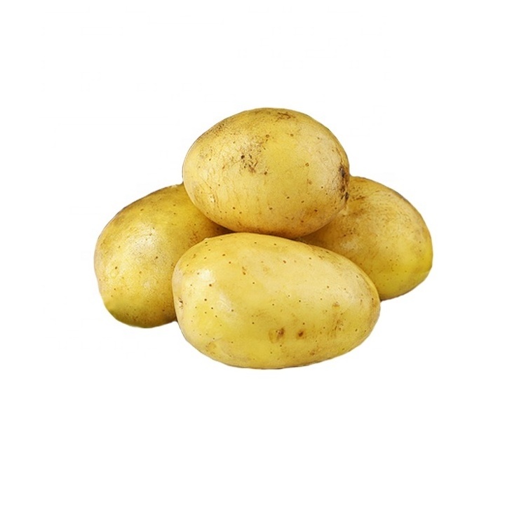 hot sale wholesale professional potato exporter High quality bulk potatoes with Global Gap & Haccp & cheap price ready to ship