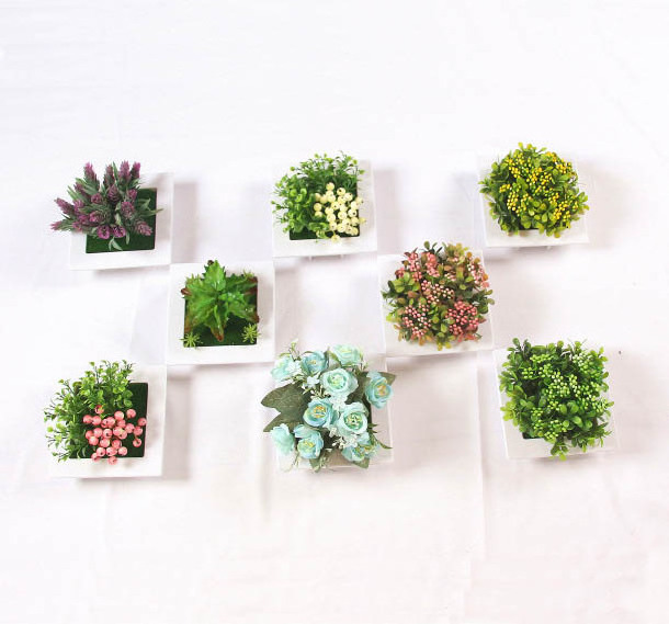 3D Simulation of Plants Wall Decoration For Room