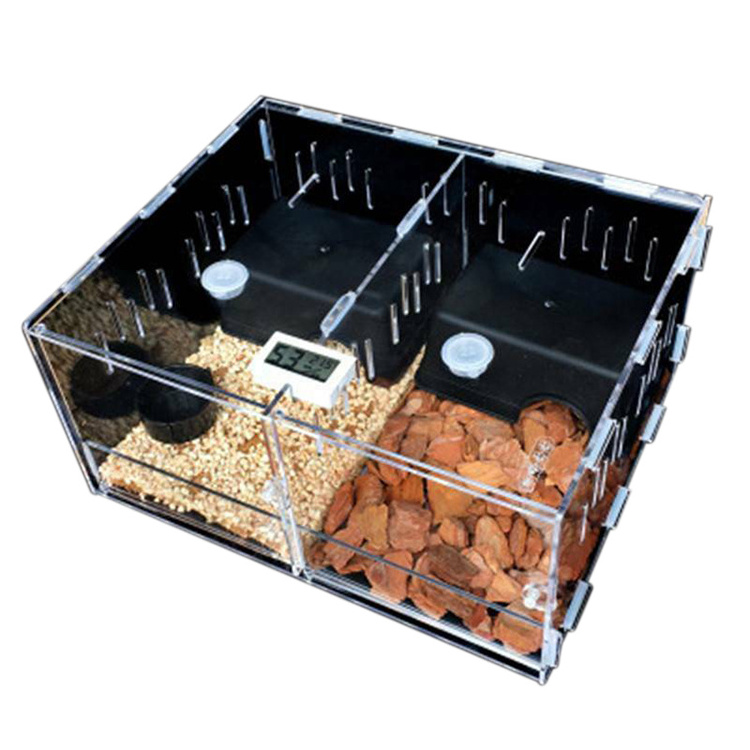 2-Grid Clear Acrylic Reptile Display Cases Reptile Cage Breeding Box For Tarantula Insect Lizard Tank Pet