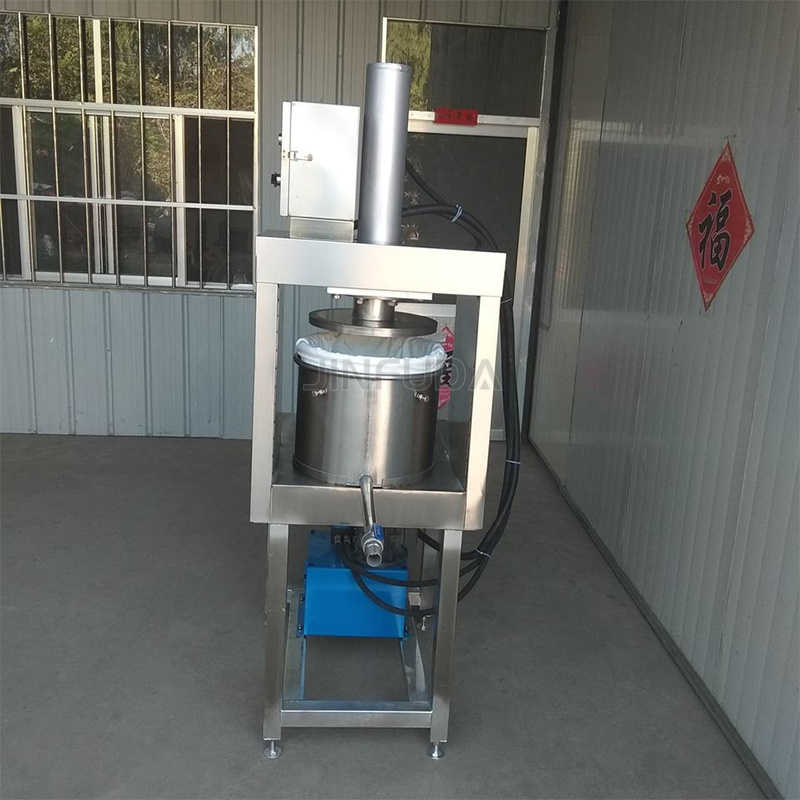 Hydraulic Cold Press Juicer Fruit Extractor Machine Horizontal Slow Juicer Extractor Masticating Cold Press Slow Juicer