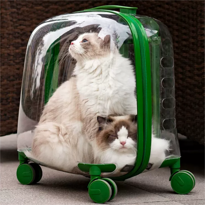 Transparent cabin Carry-on Luggage trolley wheels travel Fashion Women custom transparent suitcases Transparent Trolley Bags